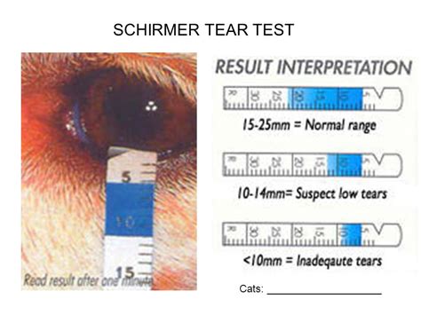 canine schirmer tear test repeat|schirmer test normal range.